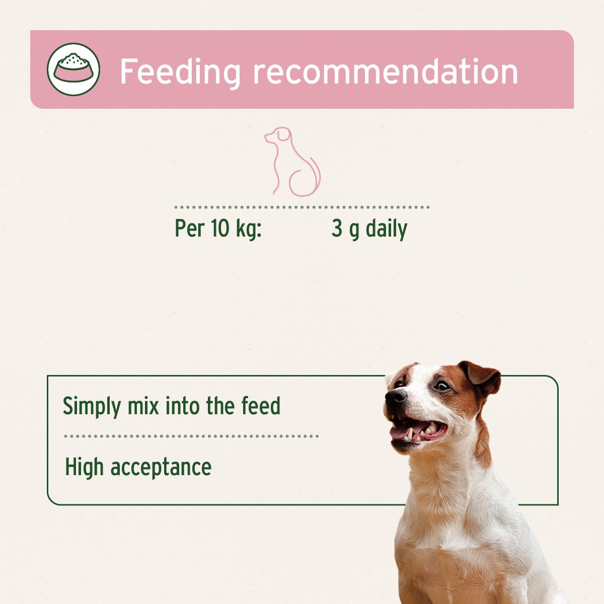 4in1 Complete for Dogs 250g - Advanced Health Supplement - AniForte UK