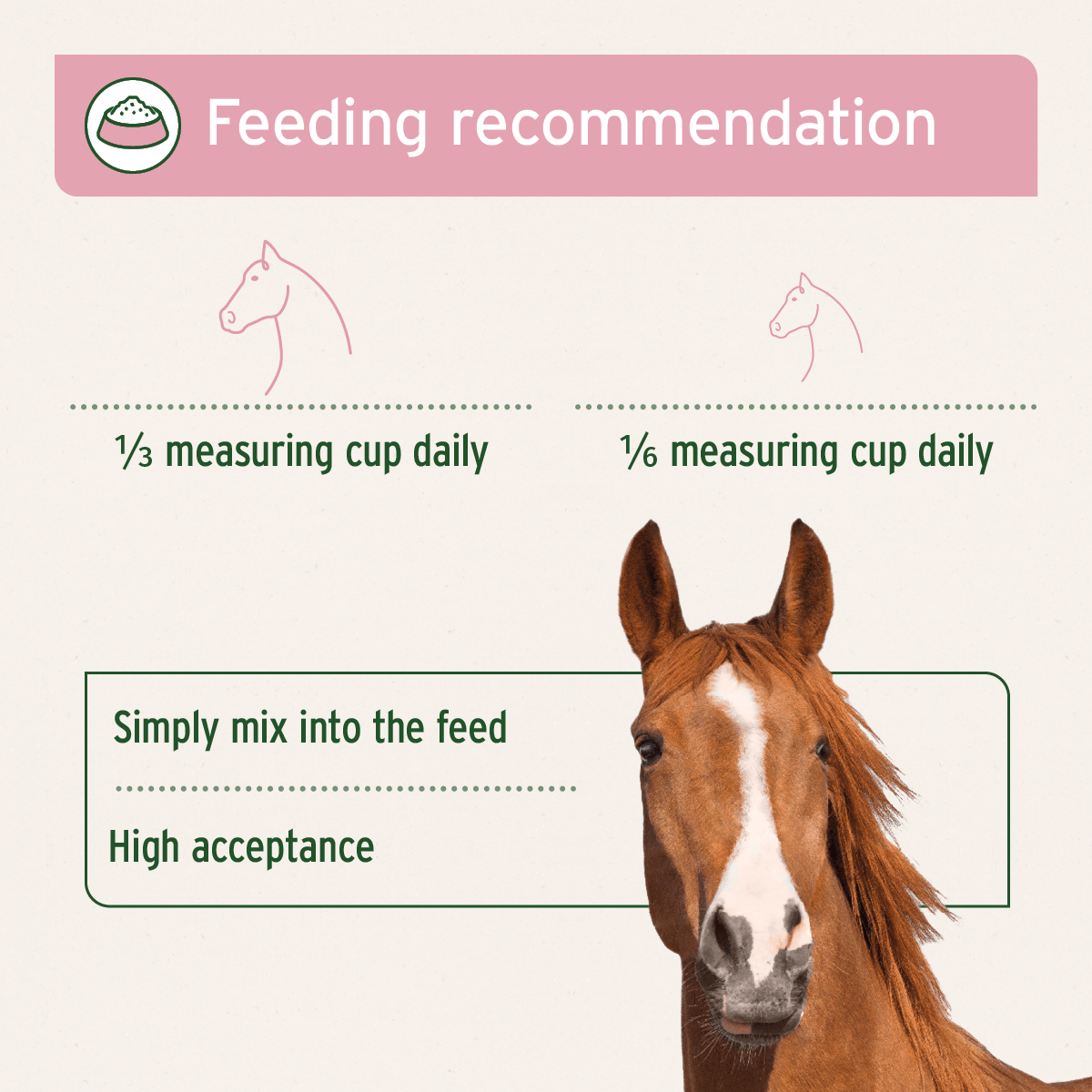 4in1 Complete Horse - AniForte UK