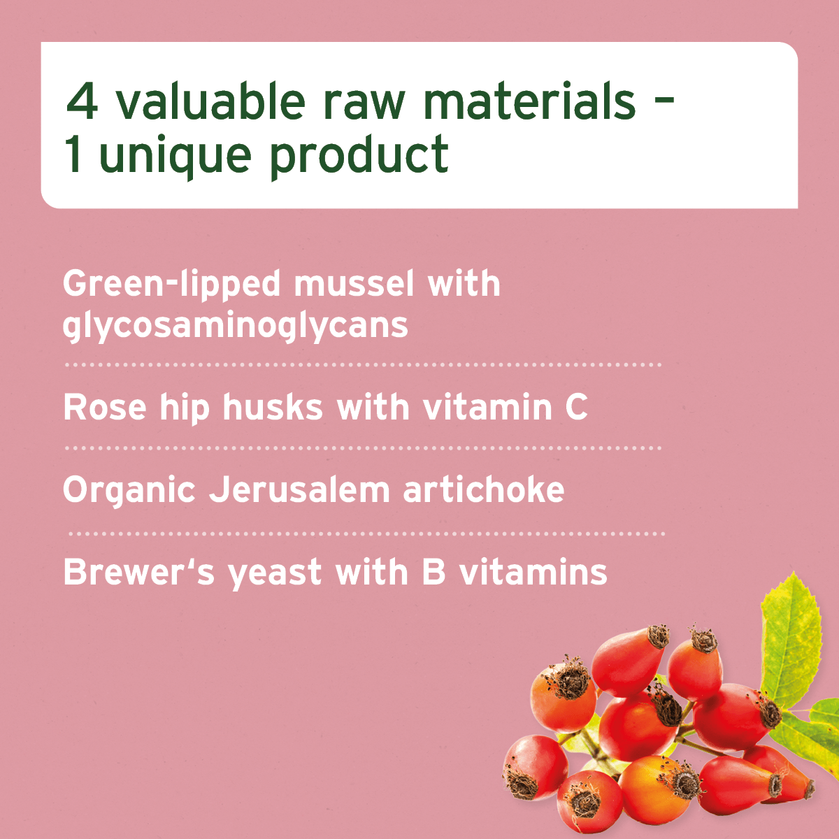 4in1 Complete Horse - AniForte UK