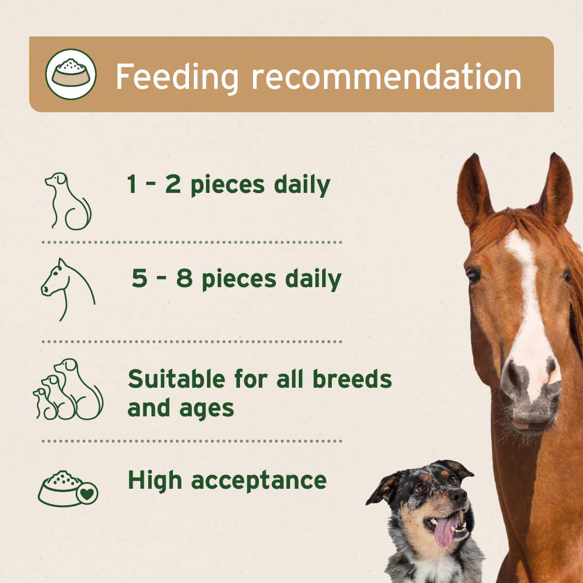 AniForte® Organic Coconut Sticks