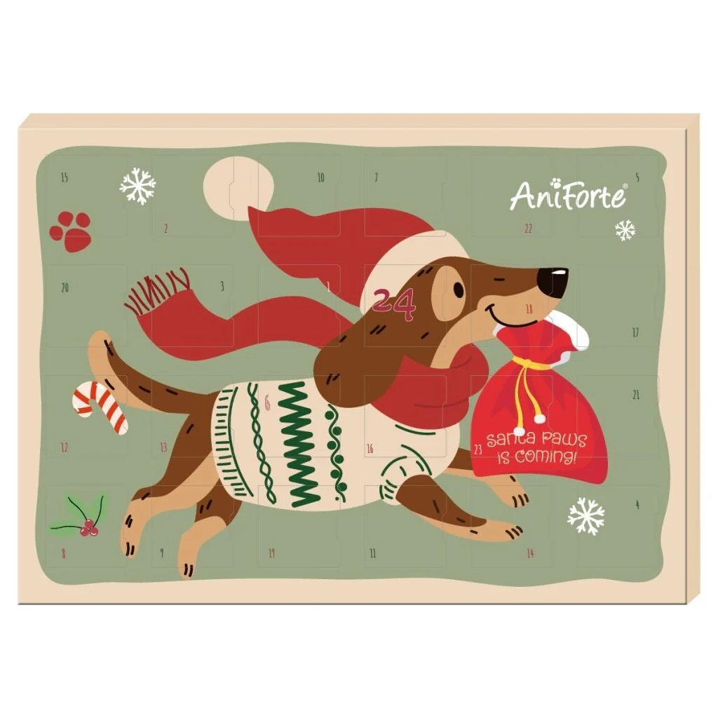 Advent Calendar for Dogs