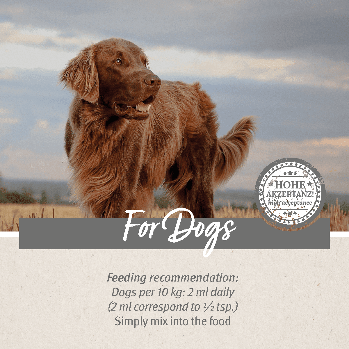 SALE Premium Feed Oil for Dogs 1L BBD 07/26