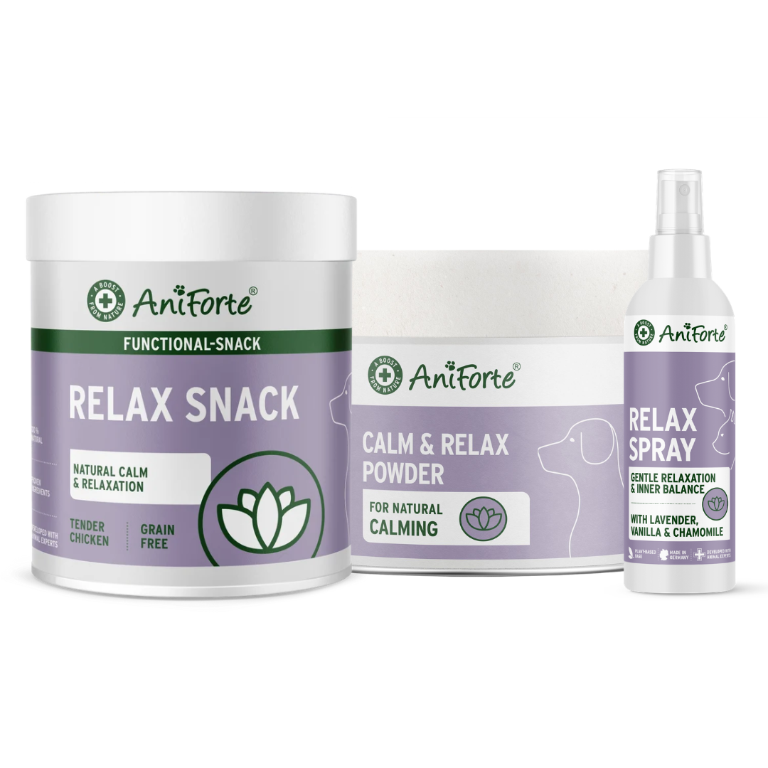Ultimate Calming Bundle