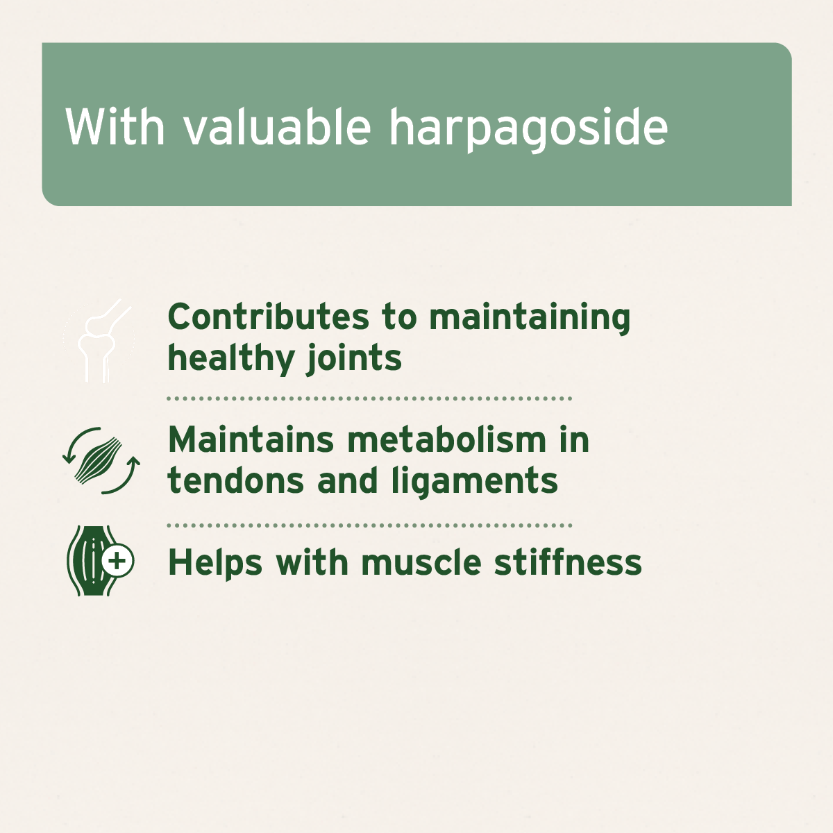 African Devil's Claw For Horses - AniForte UK