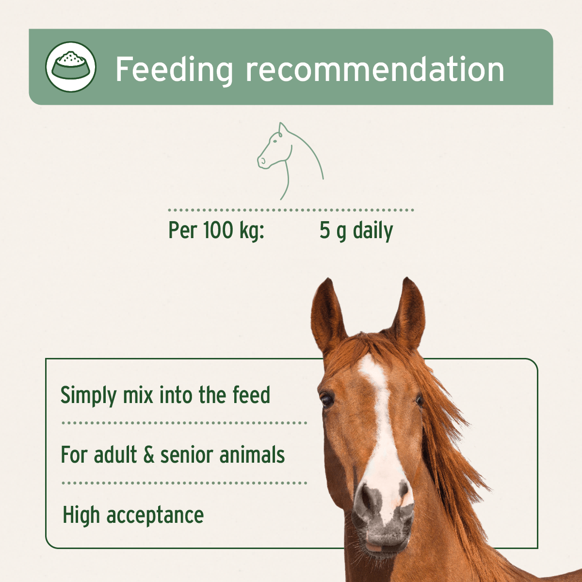 African Devil's Claw For Horses - AniForte UK