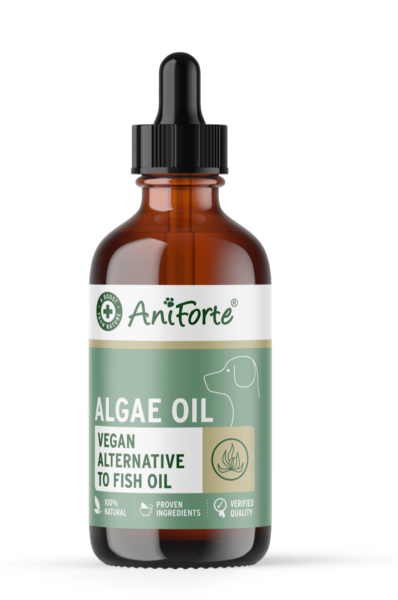 AniForte® Algae Oil 50ml - AniForte UK