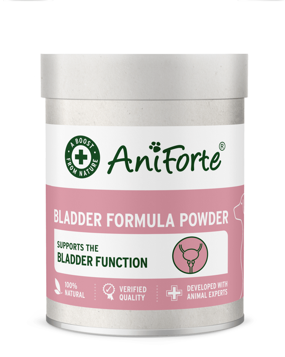 AniForte® Bladder Formula Powder 100g - AniForte UK