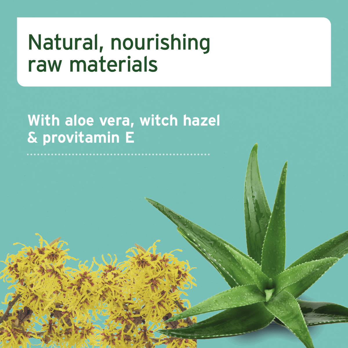 AniForte Care Wipes - 100 Pack - AniForte UK