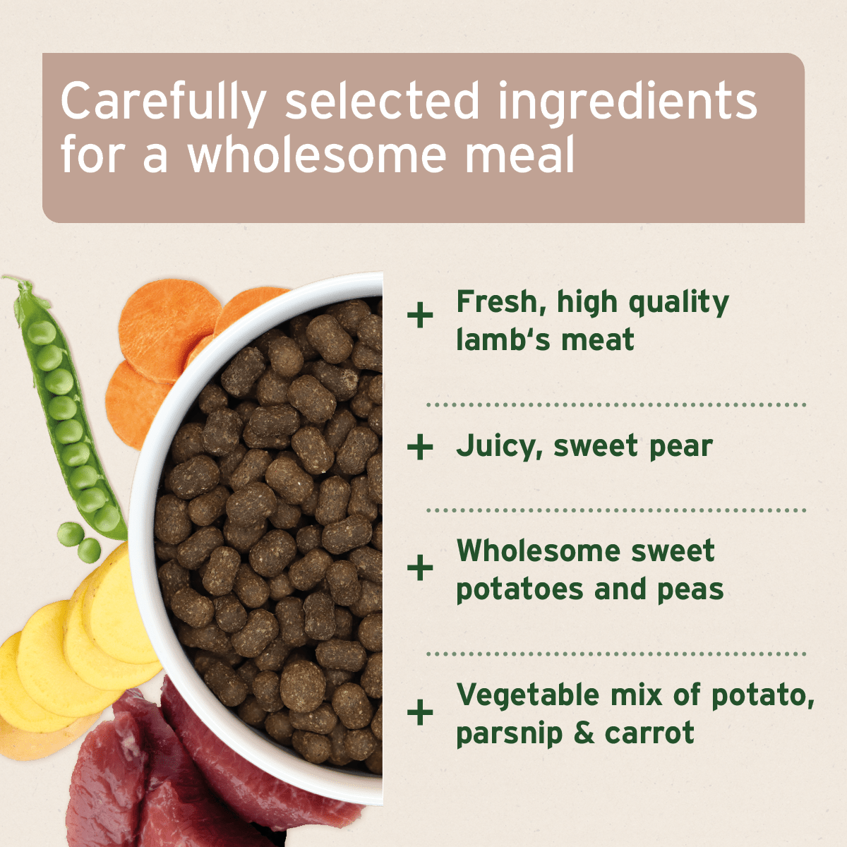 AniForte® Cold - Pressed Dog Food Lamb - AniForte UK