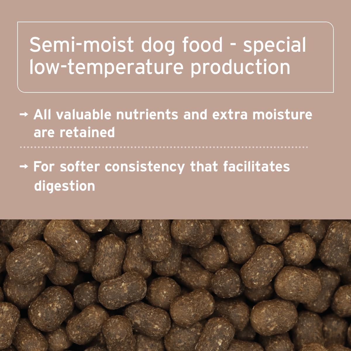 AniForte® Cold - Pressed Dog Food Lamb - AniForte UK