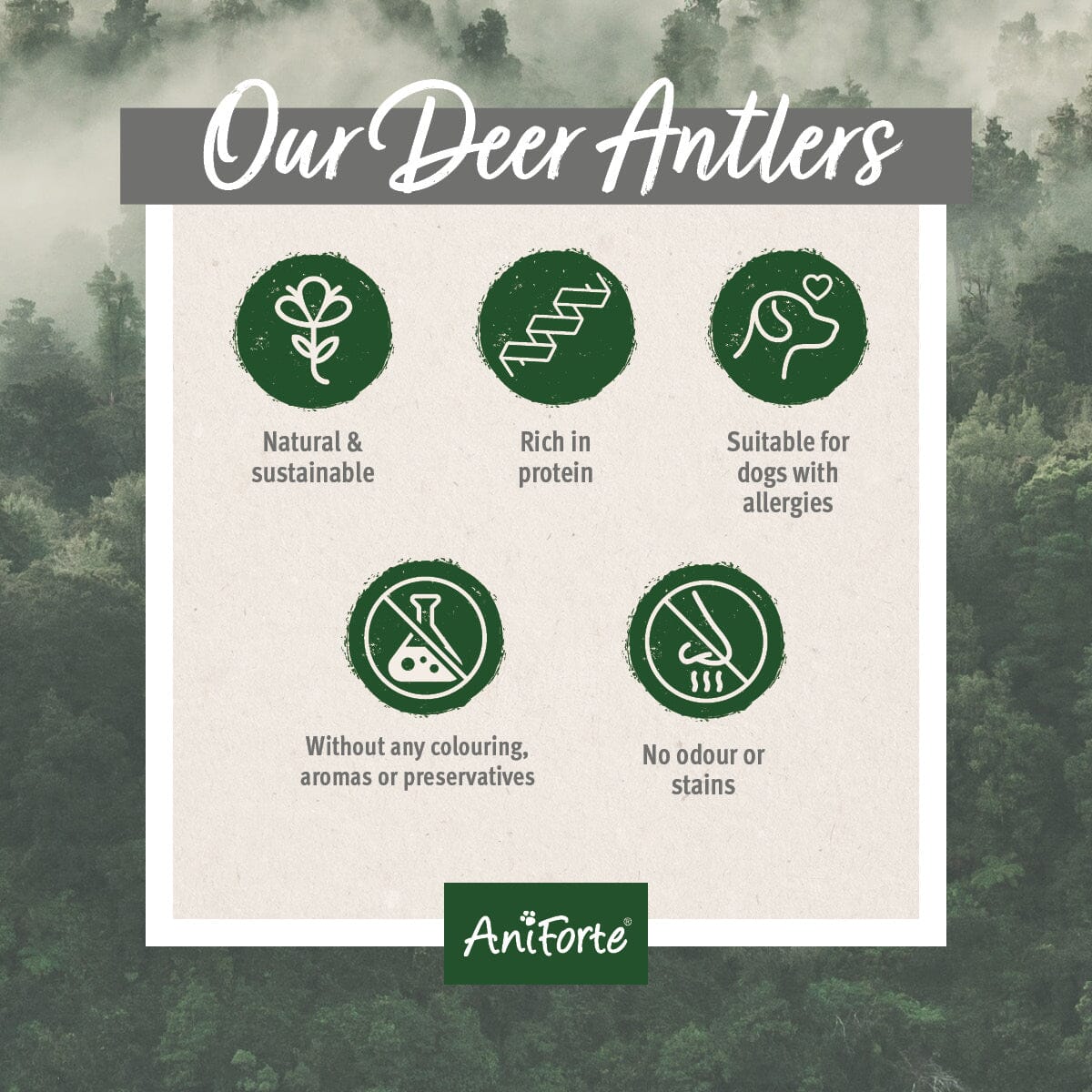 AniForte® Deer Antler - Natural Dental Chew for Dogs - AniForte UK