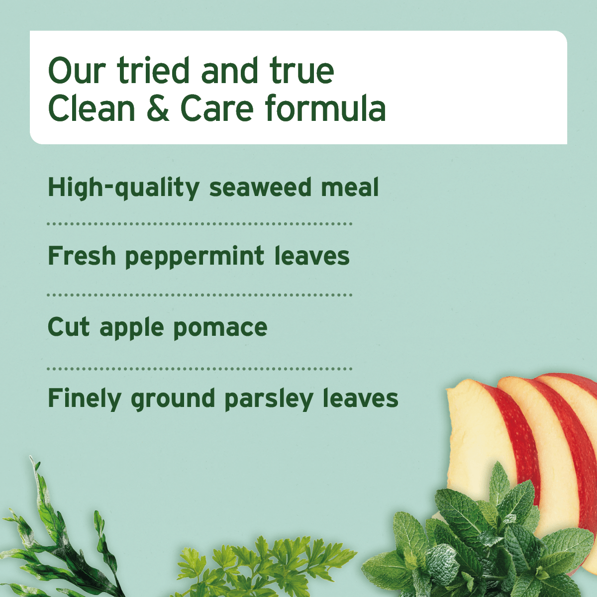 AniForte® Dental Snack - AniForte UK