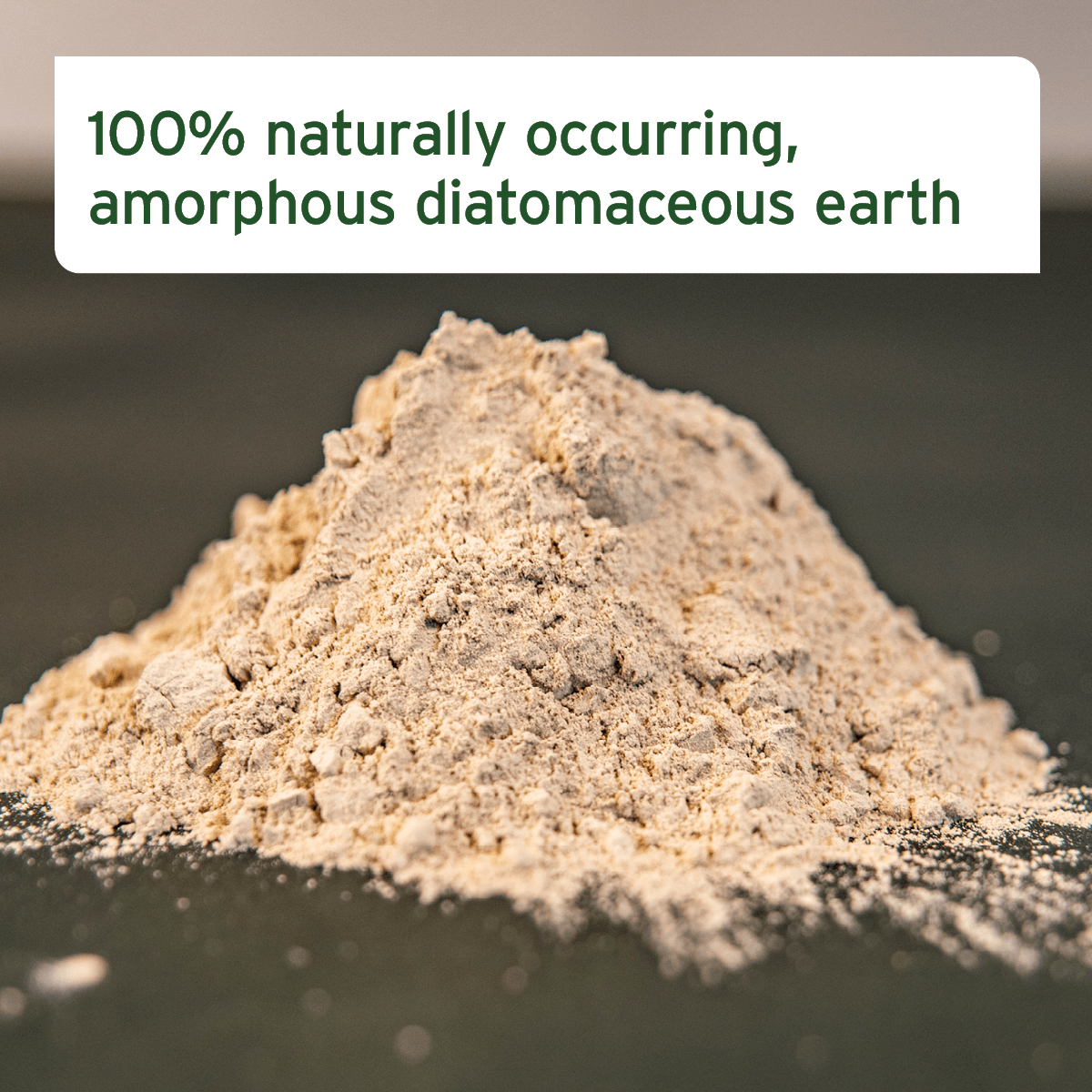 AniForte® Diatomaceous Earth Powder 50g - Parasite Treatment and Prevention - AniForte UK