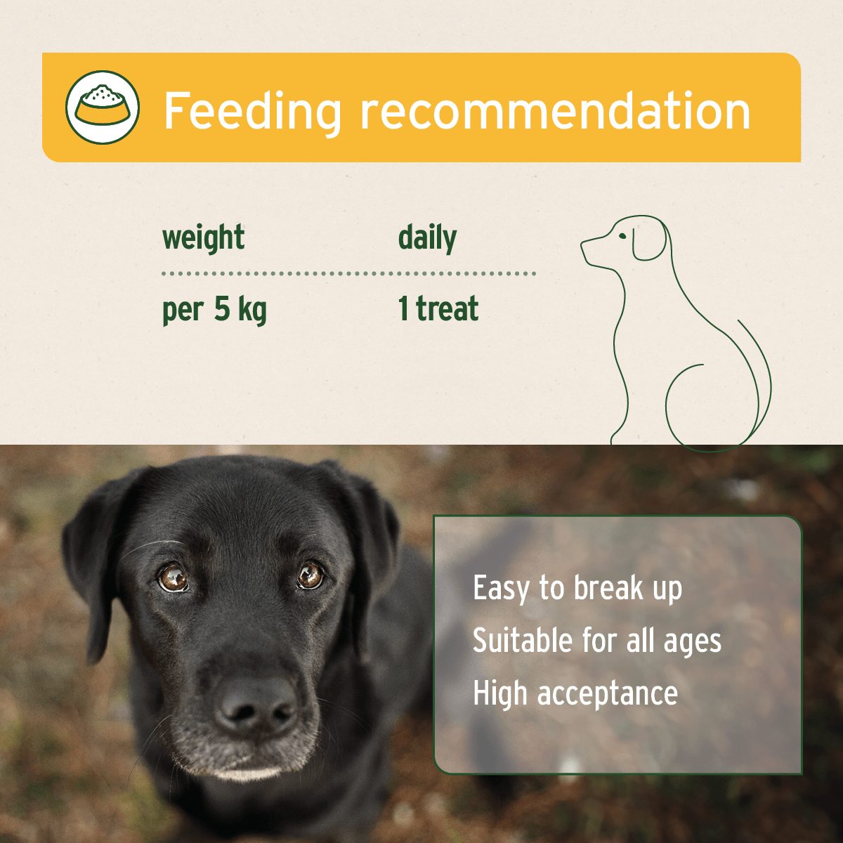 AniForte® Digestion Snack - AniForte UK