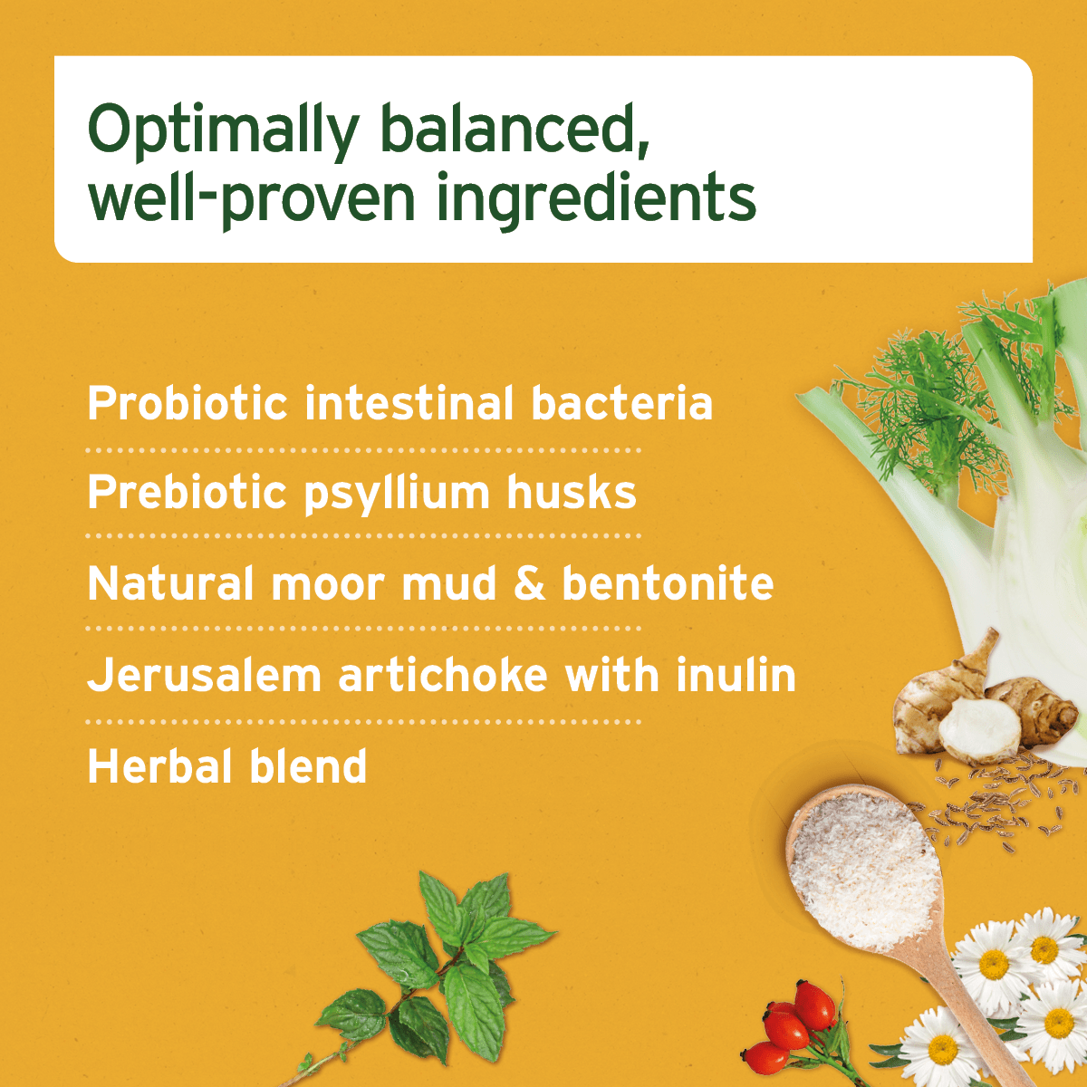 AniForte® Digestion Snack - AniForte UK