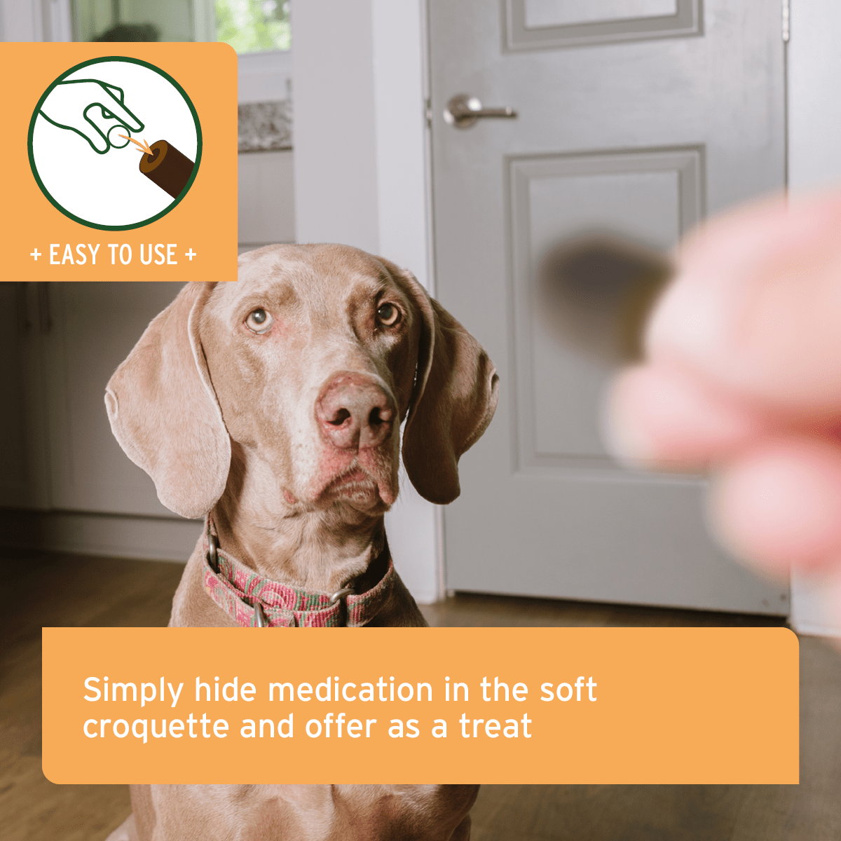 AniForte® Hideaway Snack - AniForte UK