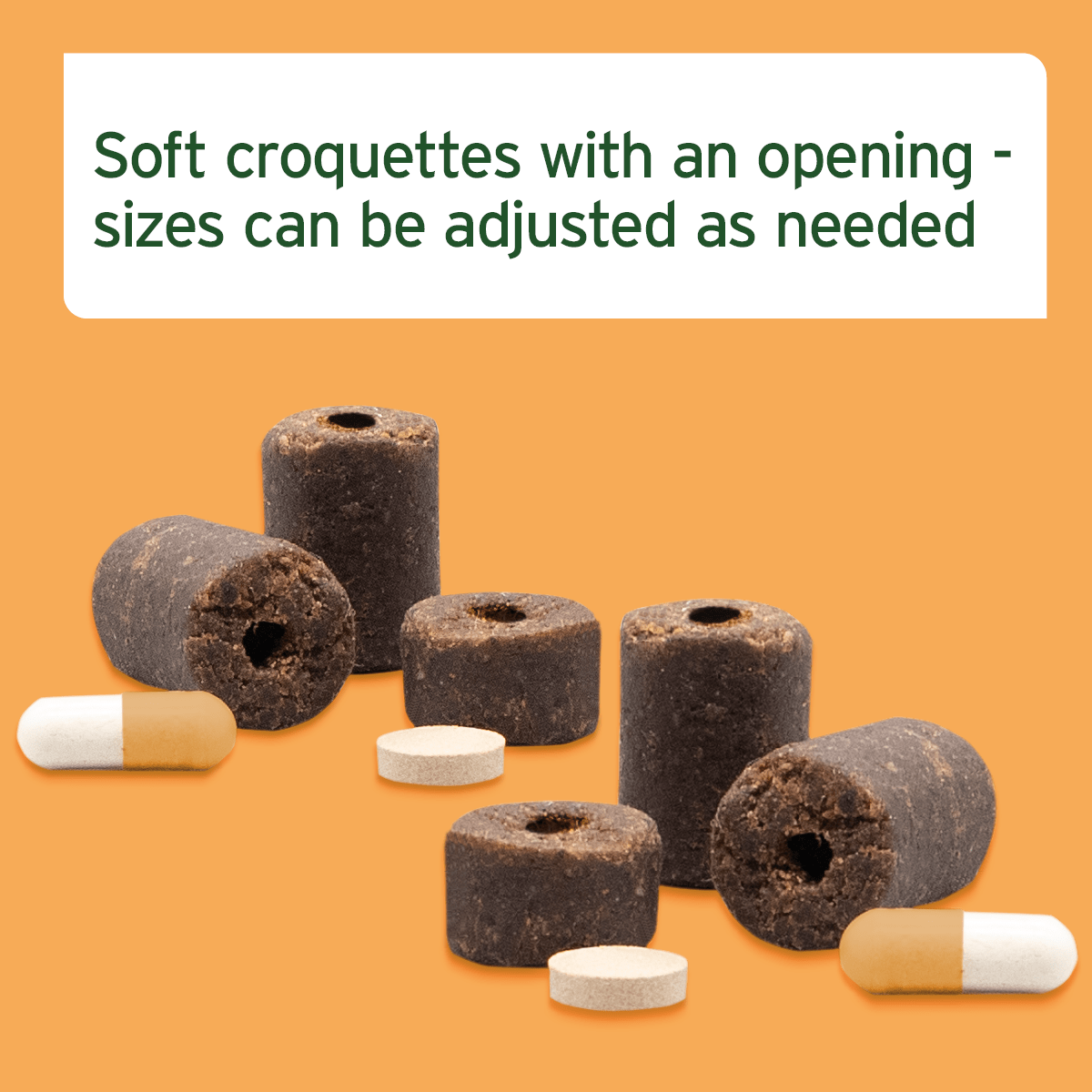 AniForte® Hideaway Snack - AniForte UK