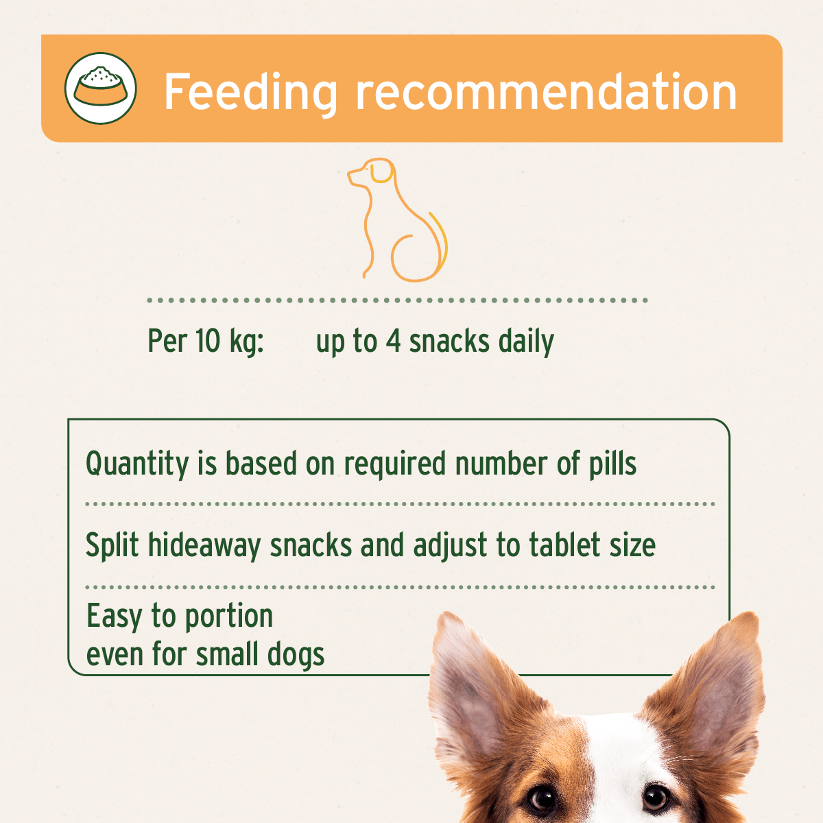 AniForte® Hideaway Snack - AniForte UK