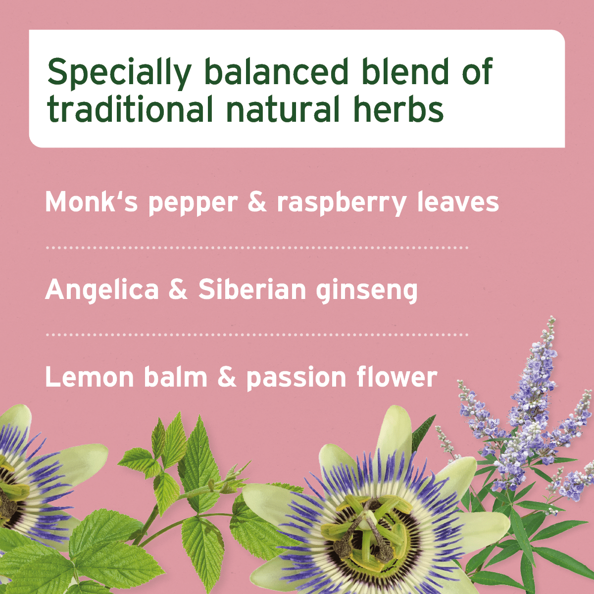 AniForte® Hormone Balance - For Female Dogs - AniForte UK