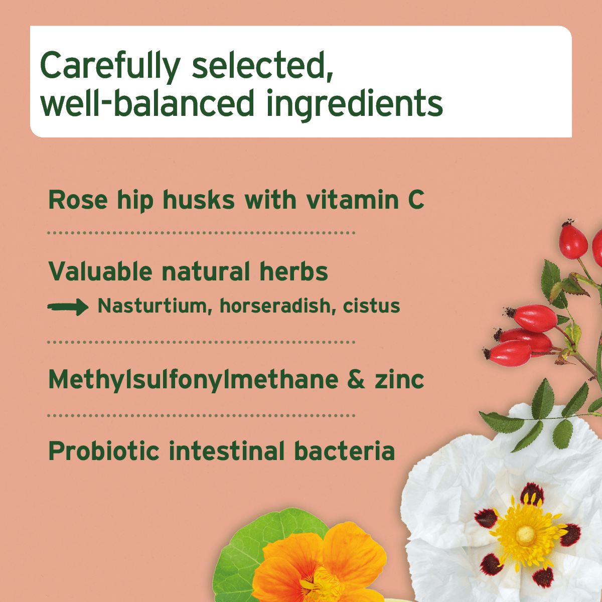 AniForte® Immunity Snack 300g - AniForte UK