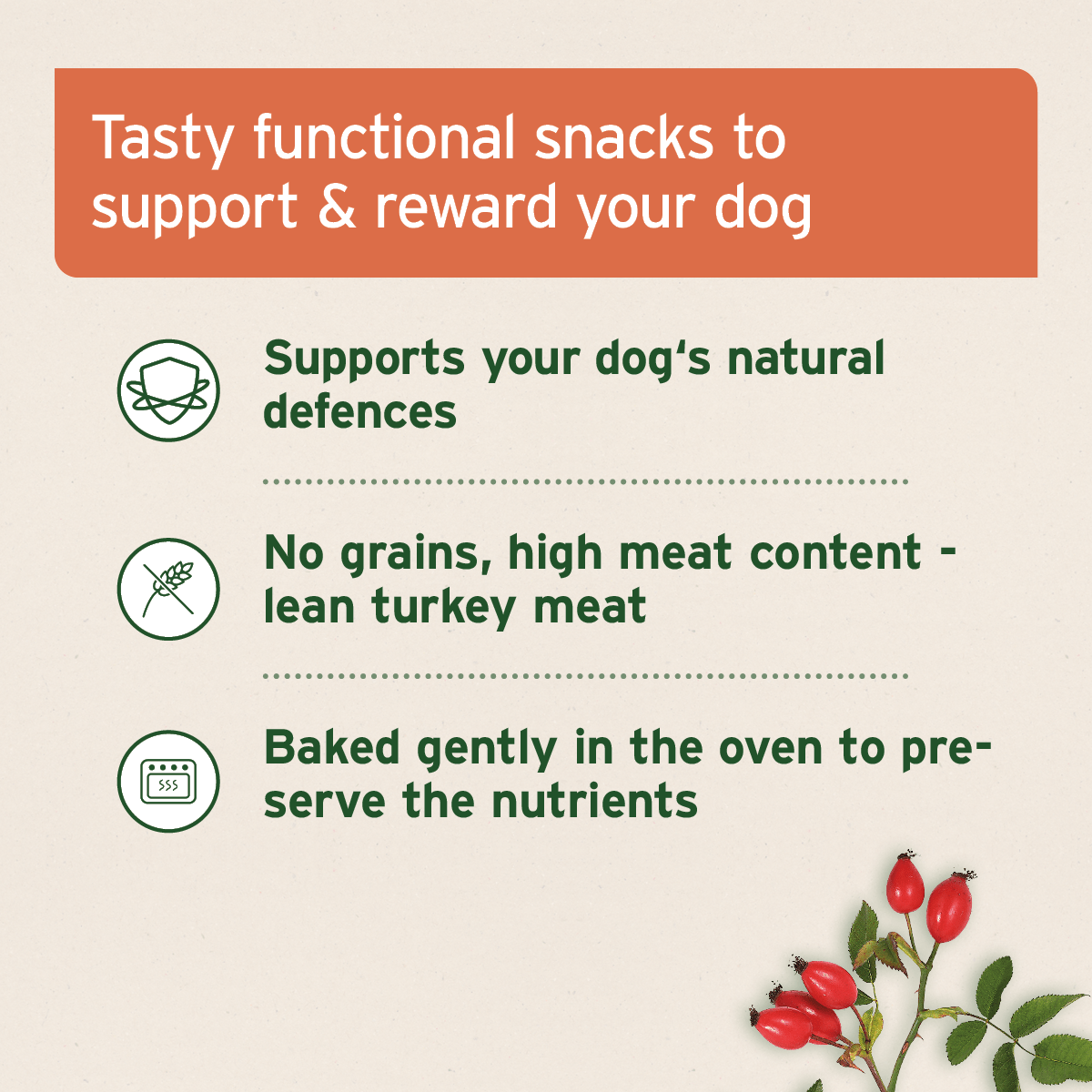 AniForte® Immunity Snack 300g - AniForte UK