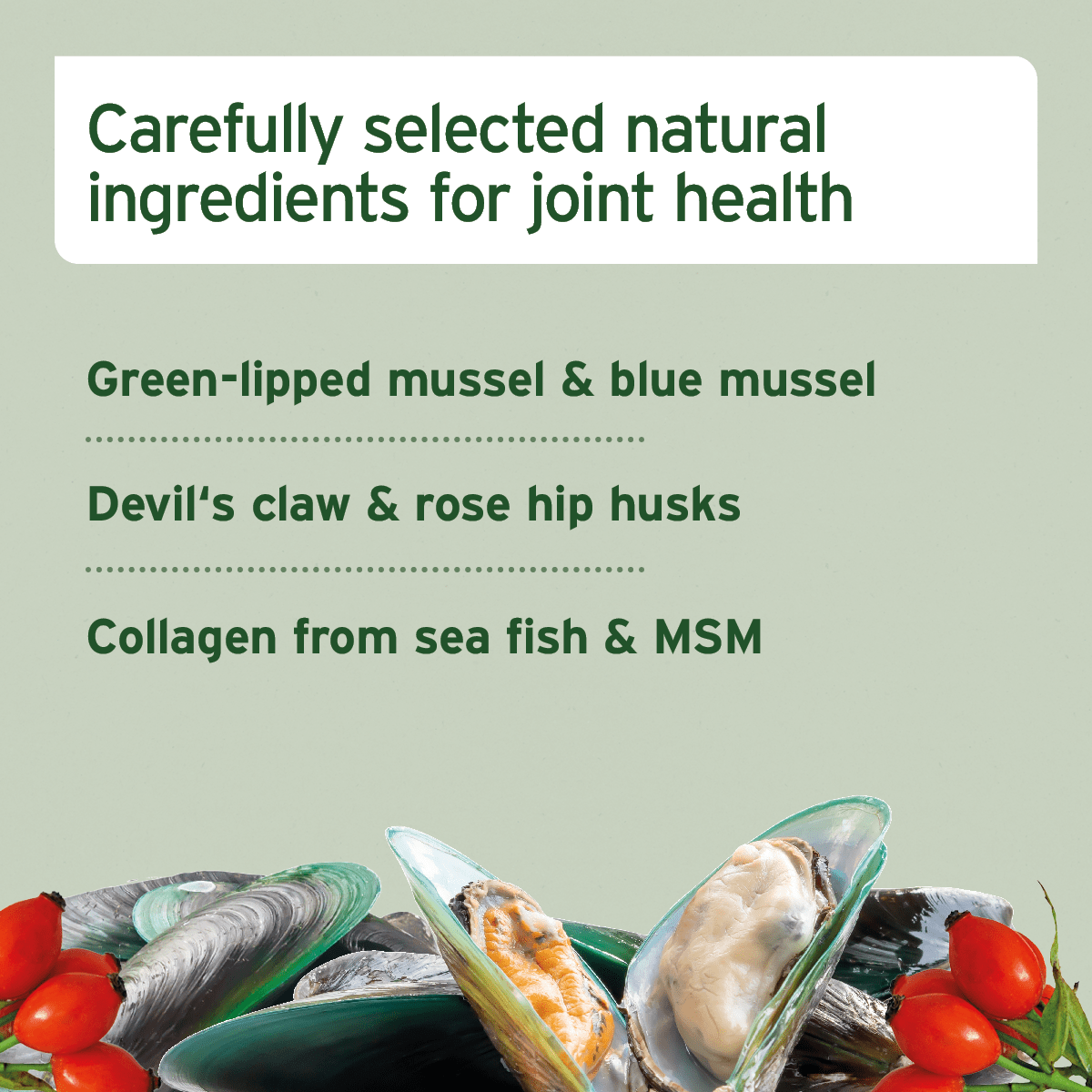 AniForte® Joint Snack - AniForte UK