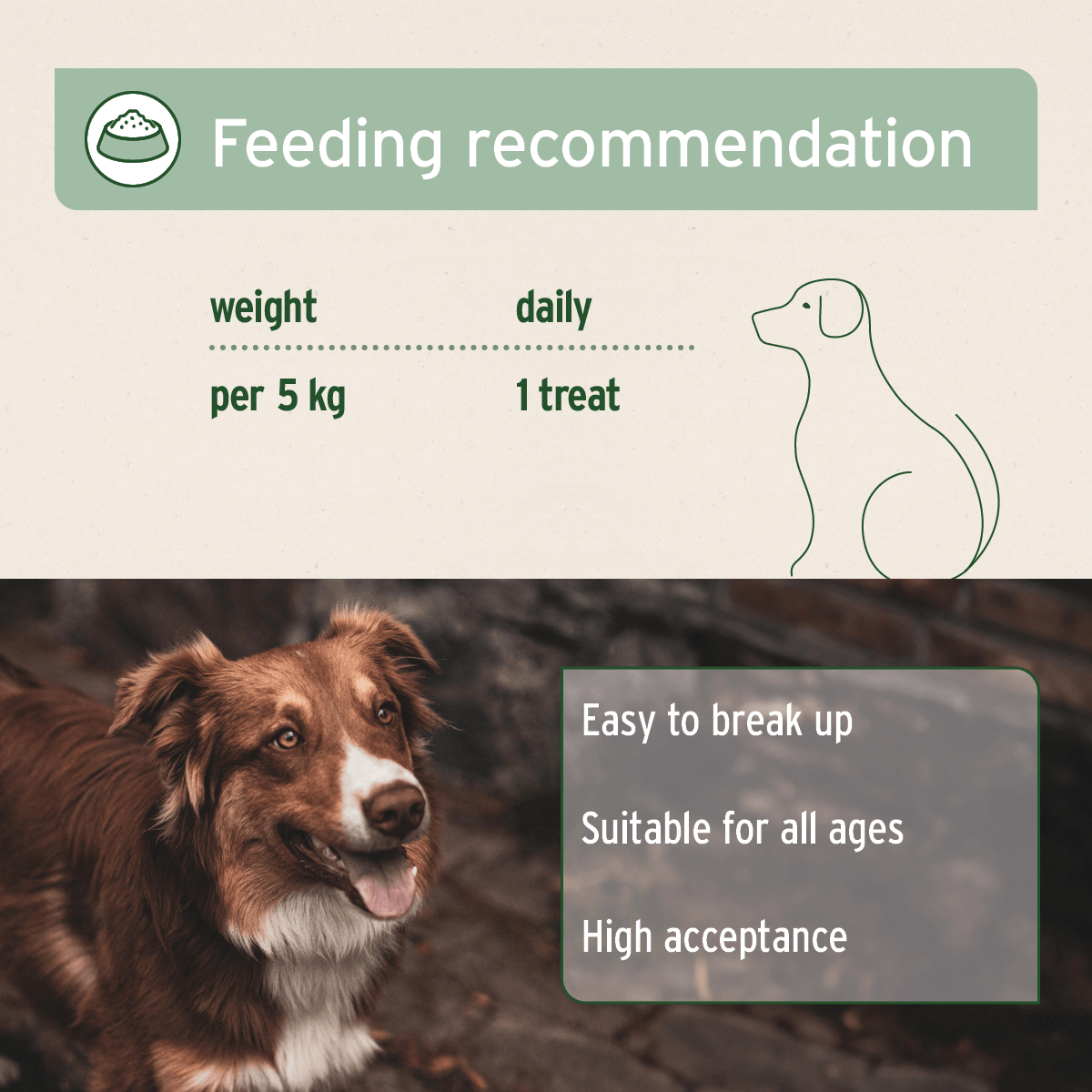 AniForte® Joint Snack - AniForte UK