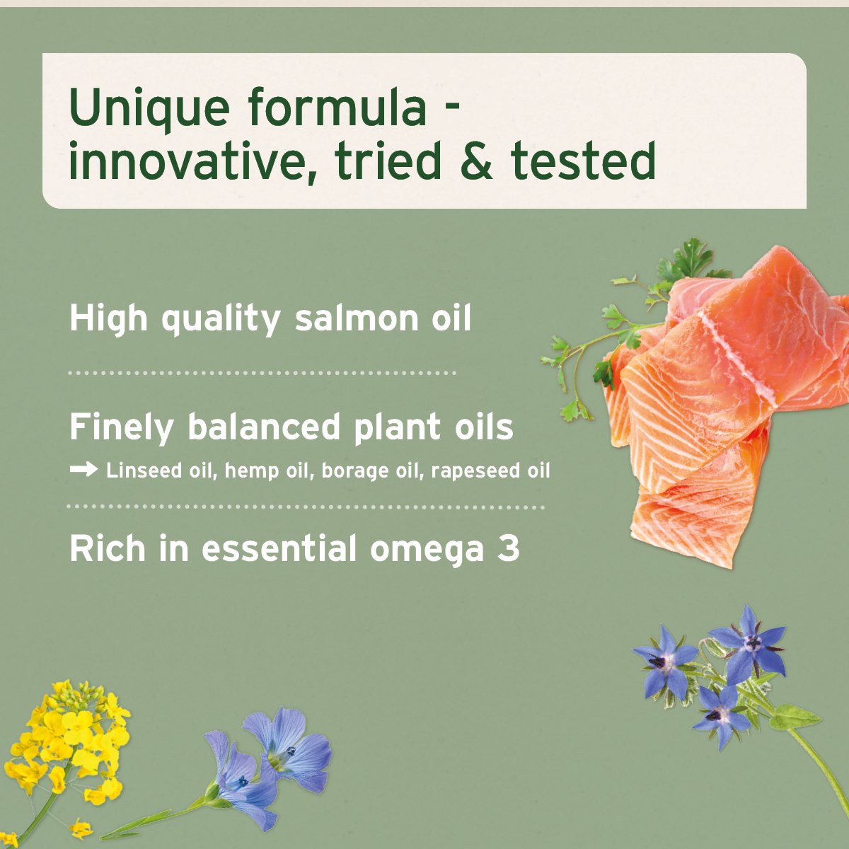 Aniforte® plus Arthro Omega Oil - AniForte UK