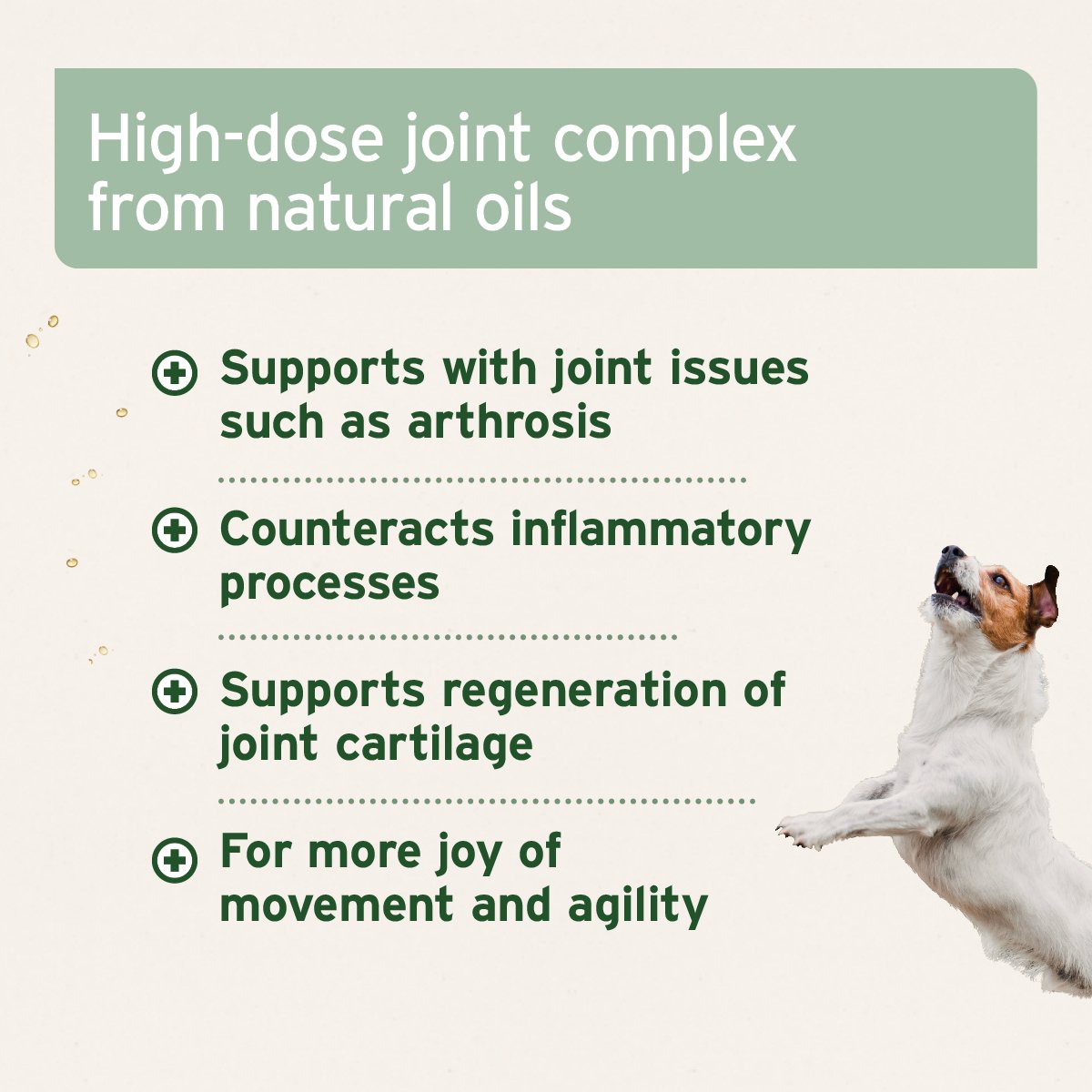 Aniforte® plus Arthro Omega Oil - AniForte UK