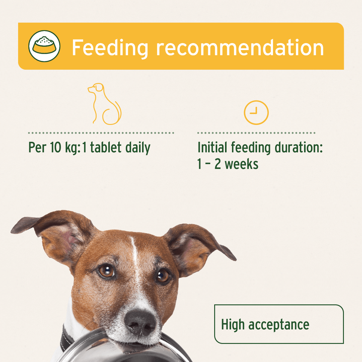 AniForte® plus Stomach & Intestine 90 Tablets - AniForte UK