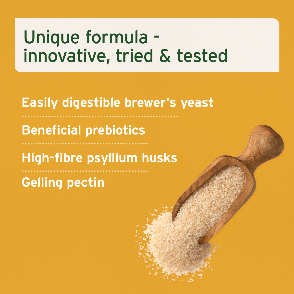 AniForte® plus Stomach & Intestine 90 Tablets - AniForte UK