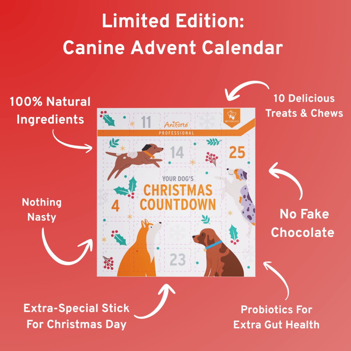 AniForte Professional Advent Calendar - AniForte UK