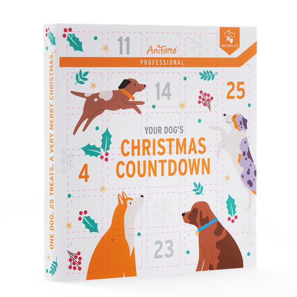 AniForte Professional Advent Calendar - AniForte UK
