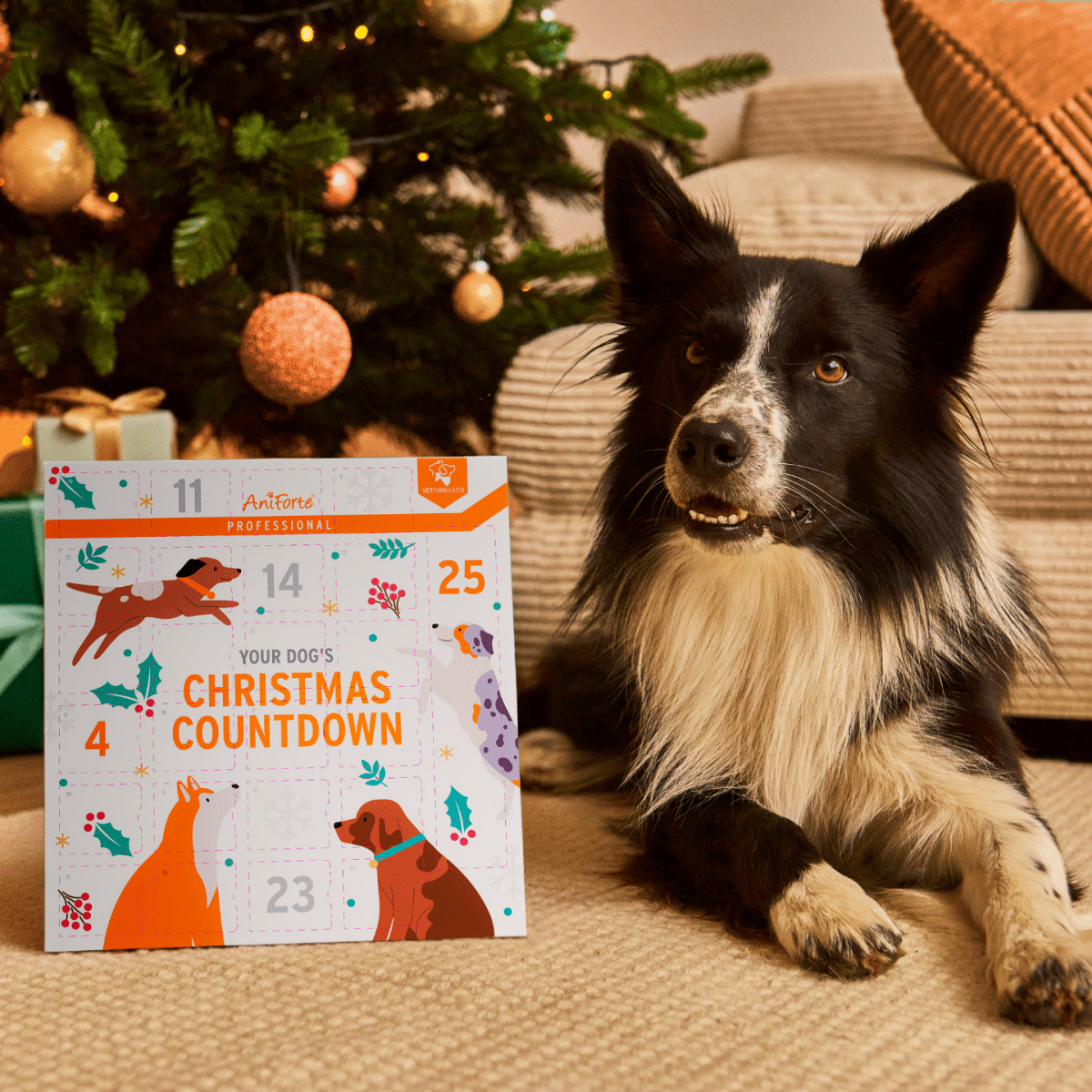 AniForte Professional Advent Calendar - AniForte UK