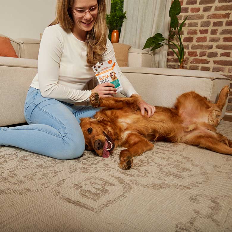 AniForte® Professional Alpha Bites Digestion - AniForte UK