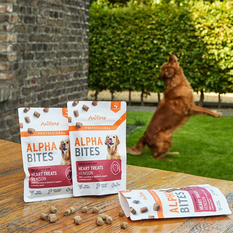 AniForte® Professional Alpha Bites Heart - AniForte UK