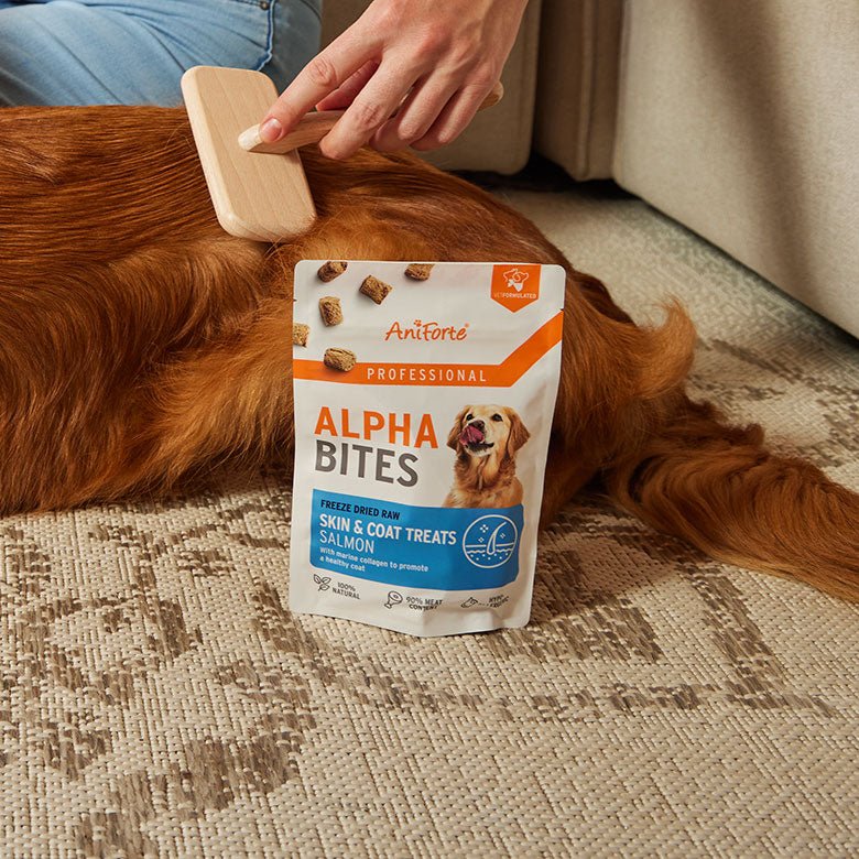 AniForte® Professional Alpha Bites Skin & Coat - AniForte UK