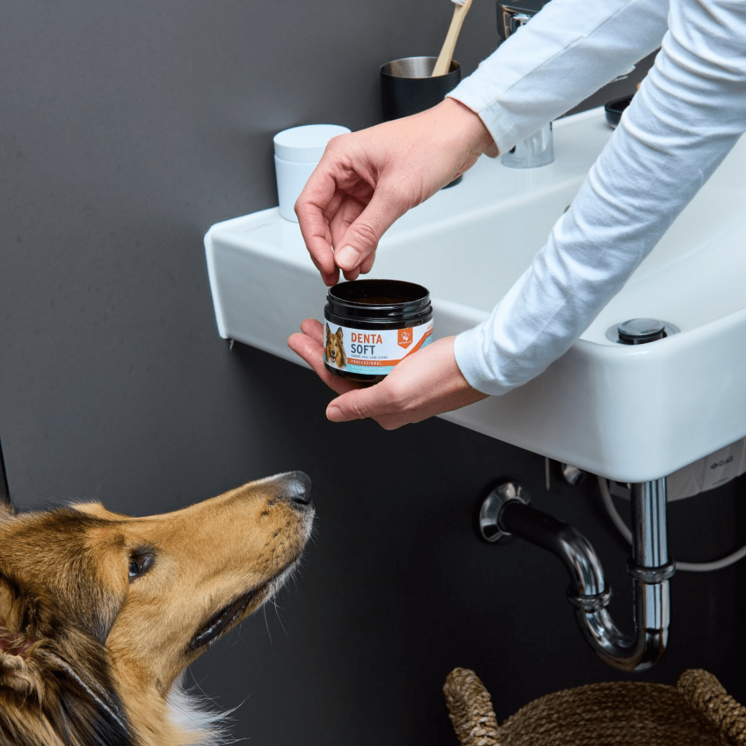 AniForte® Professional Denta Soft - AniForte UK