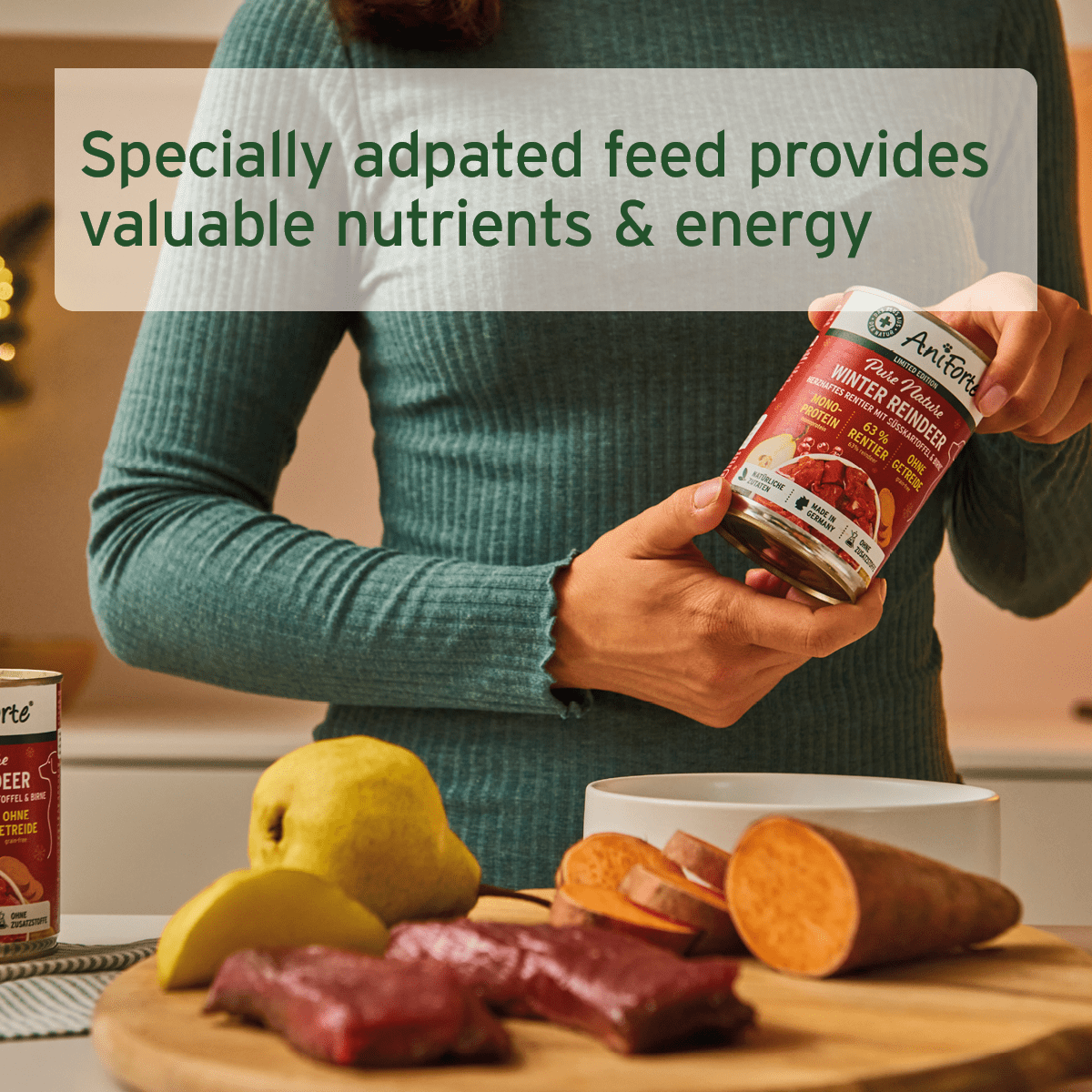 AniForte® PureNature Winter Reindeer, with sweet potato, pear and rosehip - Limited Christmas Edition Wet food for Dogs - AniForte UK