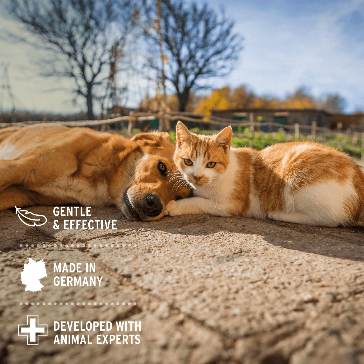 AniForte® Relax Spray 100ml - AniForte UK