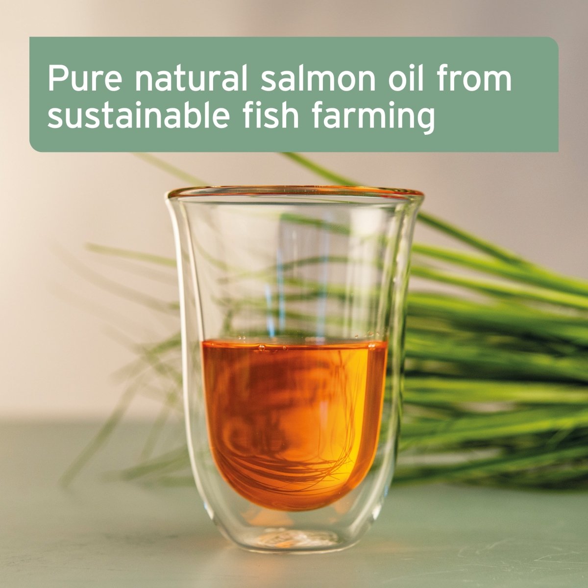 AniForte® Salmon Oil - For Dogs, Cats and Horses - AniForte UK