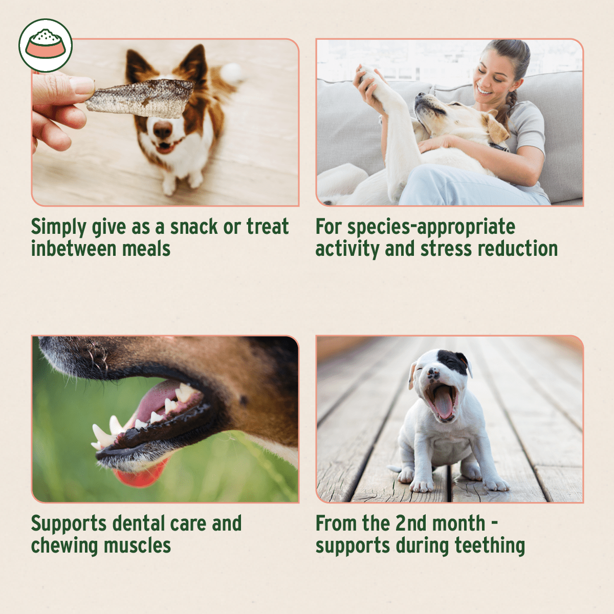 AniForte® Salmon Skin - AniForte UK