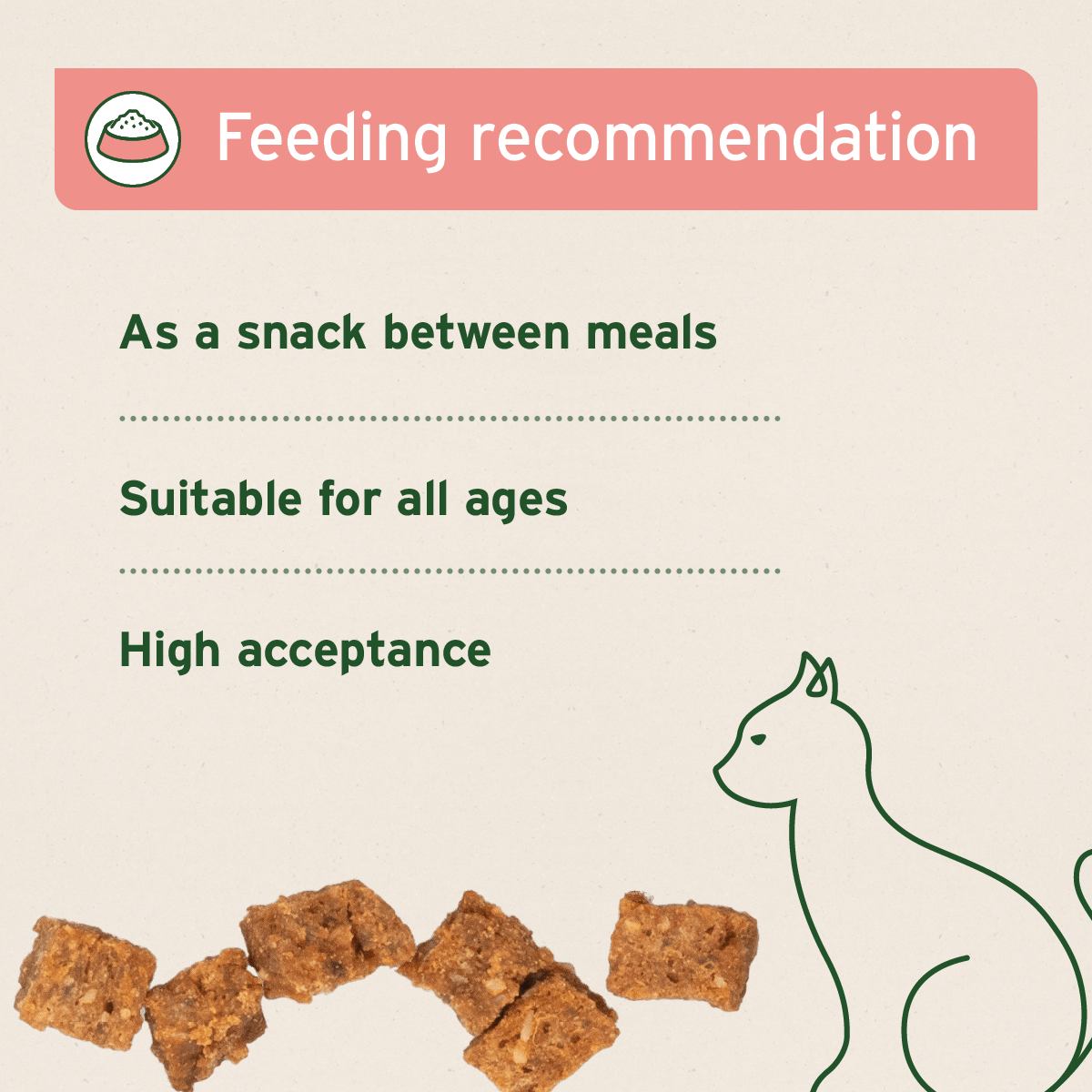 AniForte® Soft Snacks Beef 100g - AniForte UK