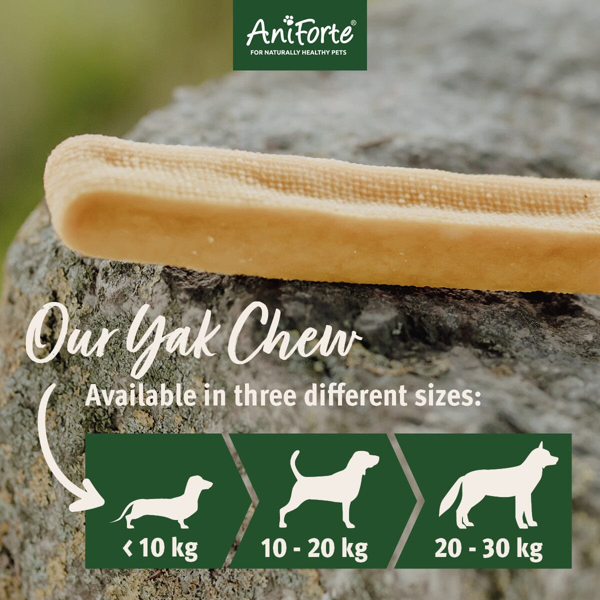 AniForte® Yak Chew - AniForte UK