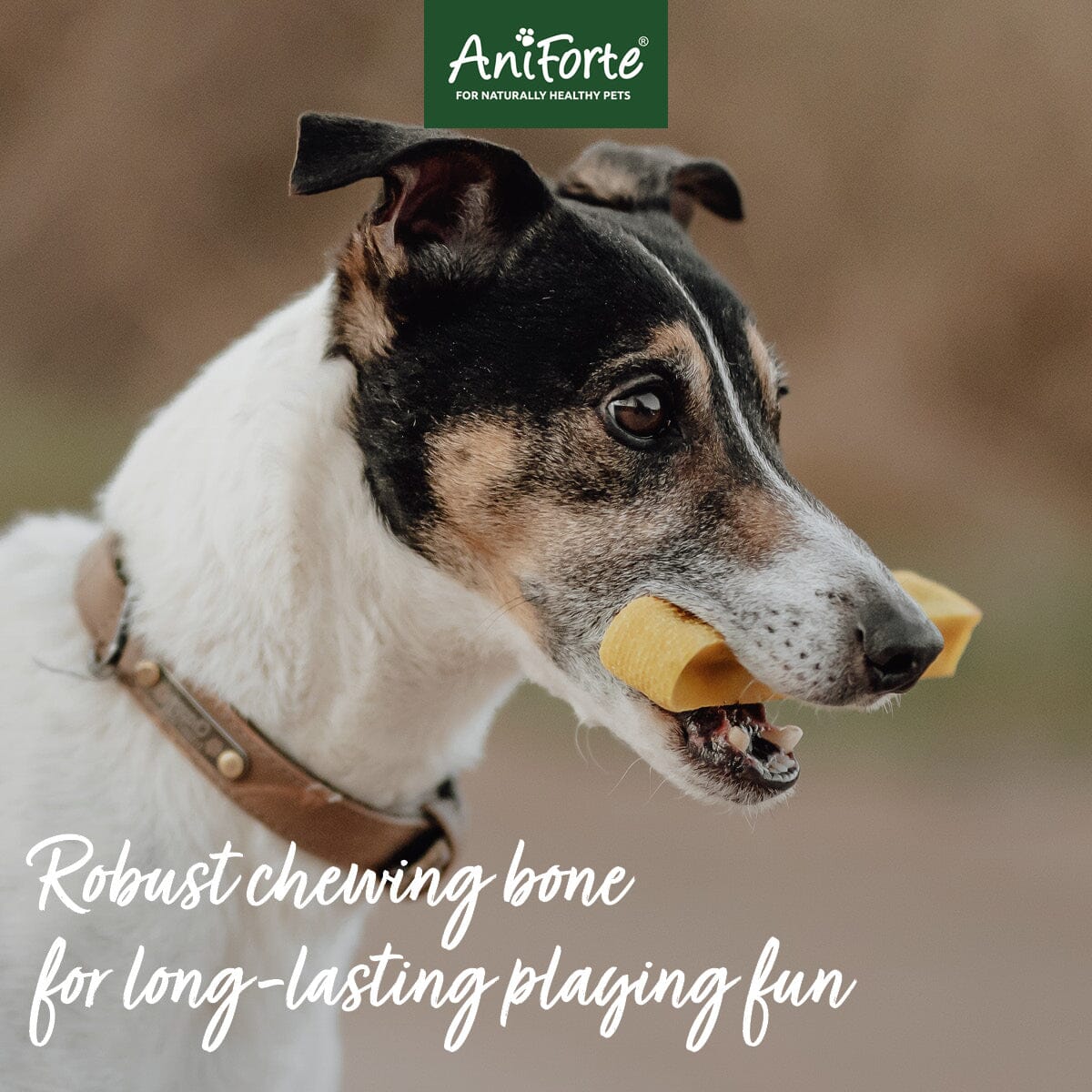 AniForte® Yak Chew - AniForte UK