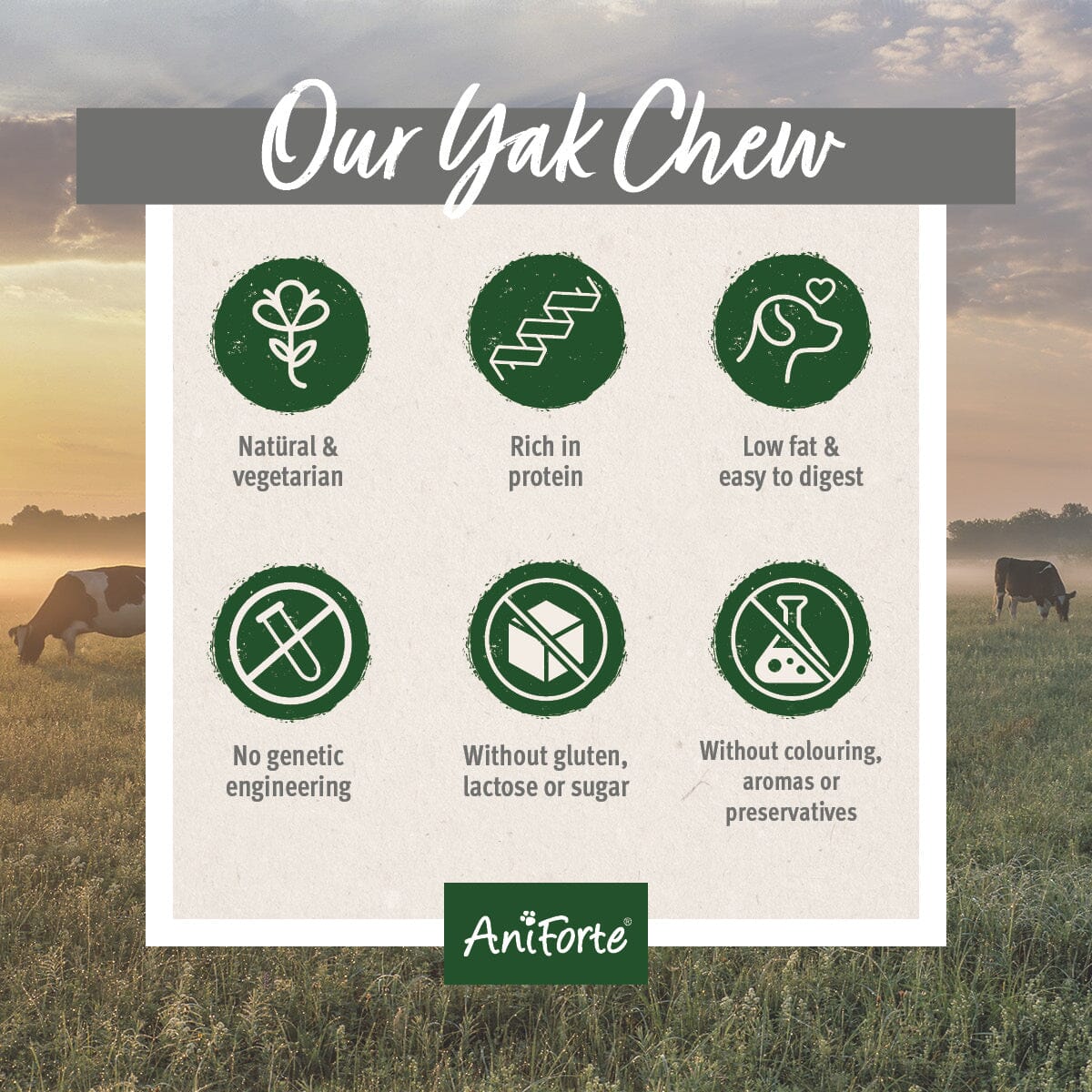 AniForte® Yak Chew - AniForte UK
