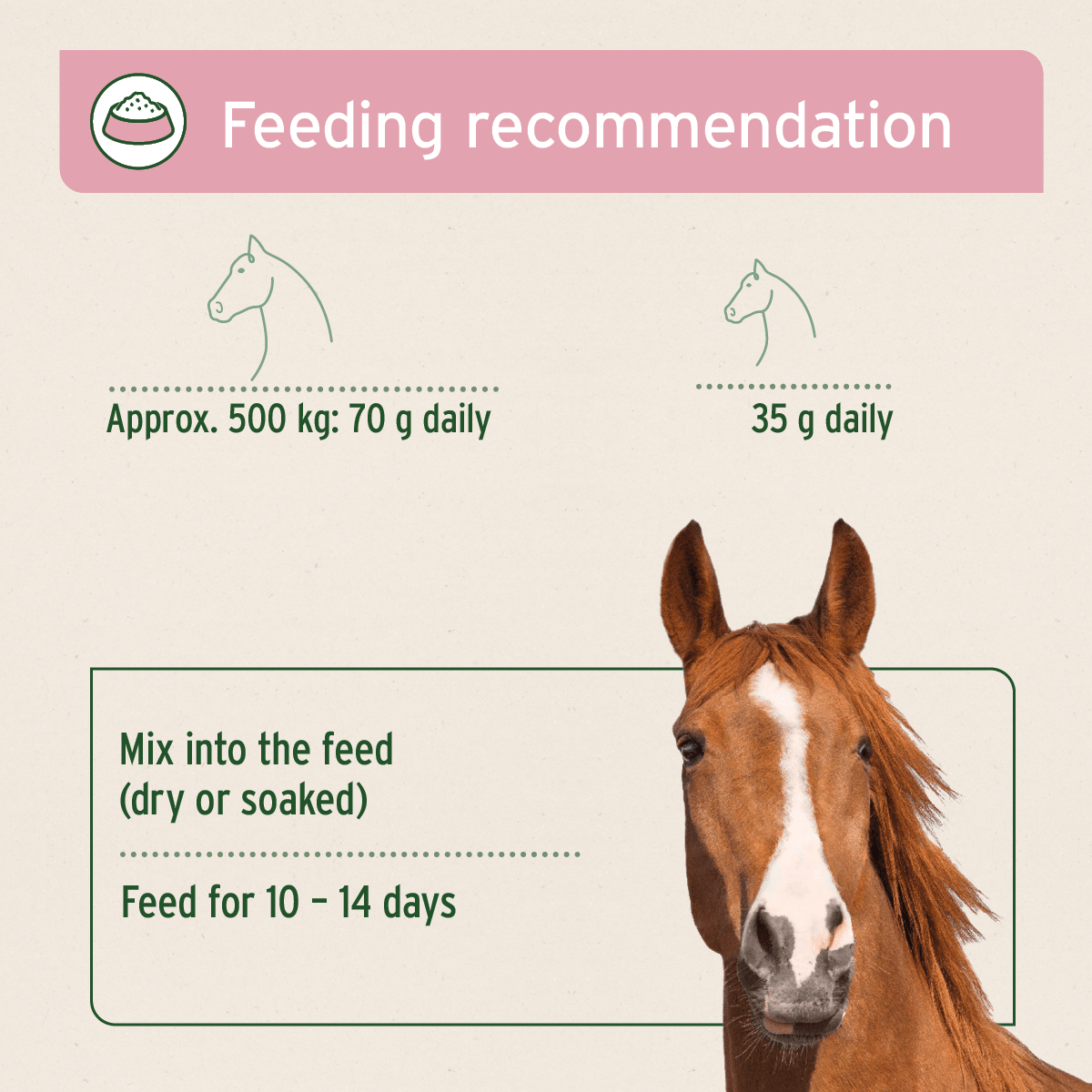 Bronchial Herbs - AniForte UK