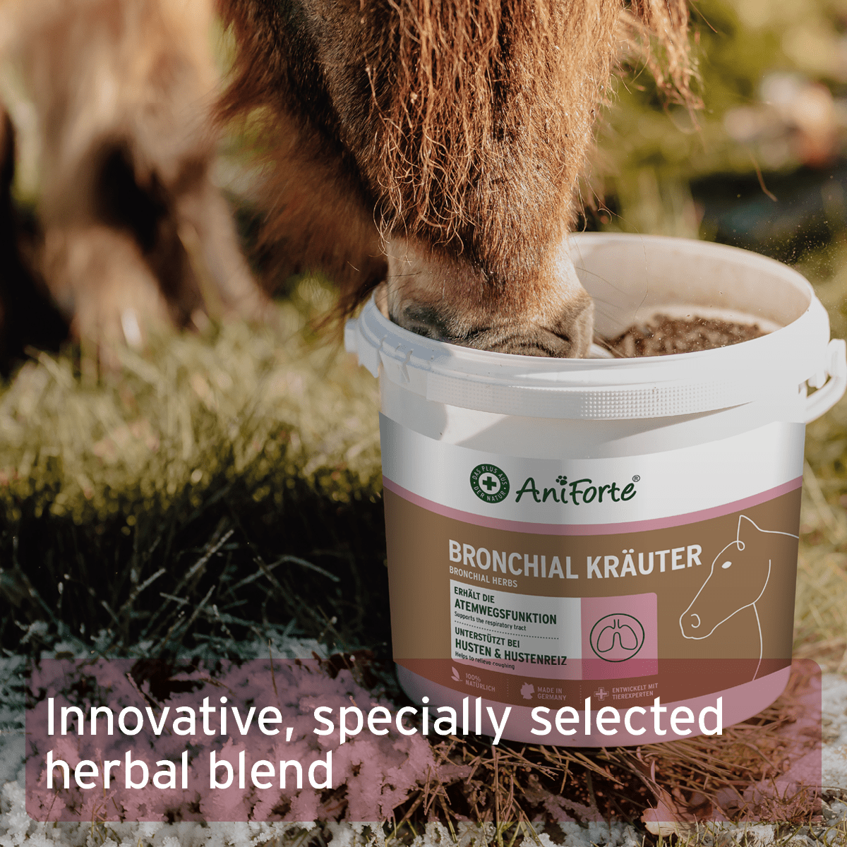 Bronchial Herbs - AniForte UK