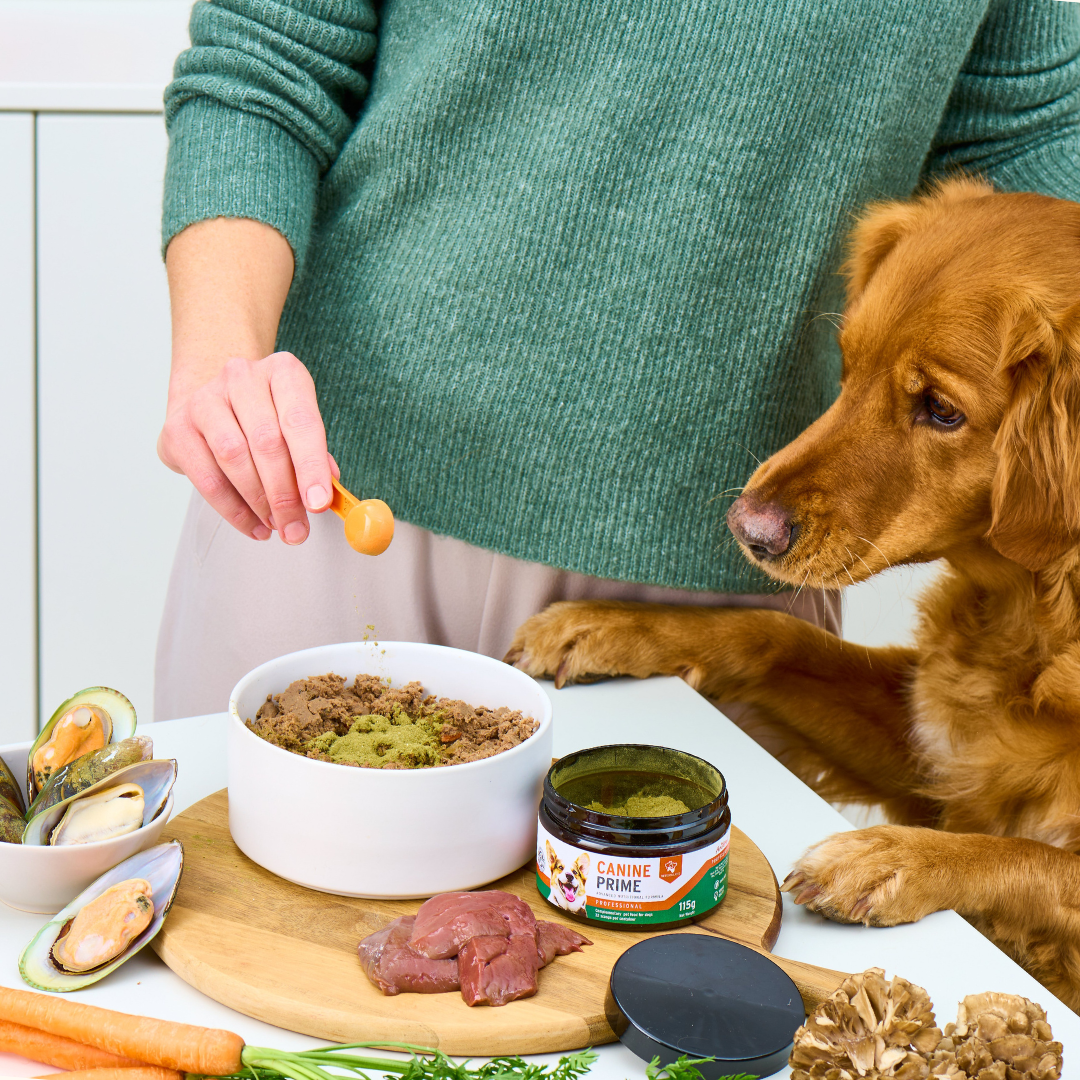 Canine Prime - AniForte UK
