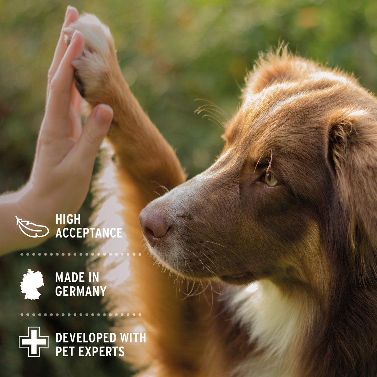 Denta Clean & Care Powder for Dogs and Cats - AniForte UK